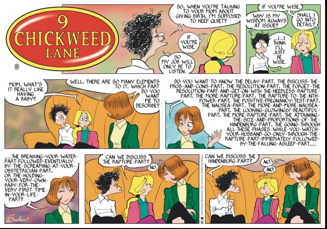 9 Chickweed Lane for 12-18-2022